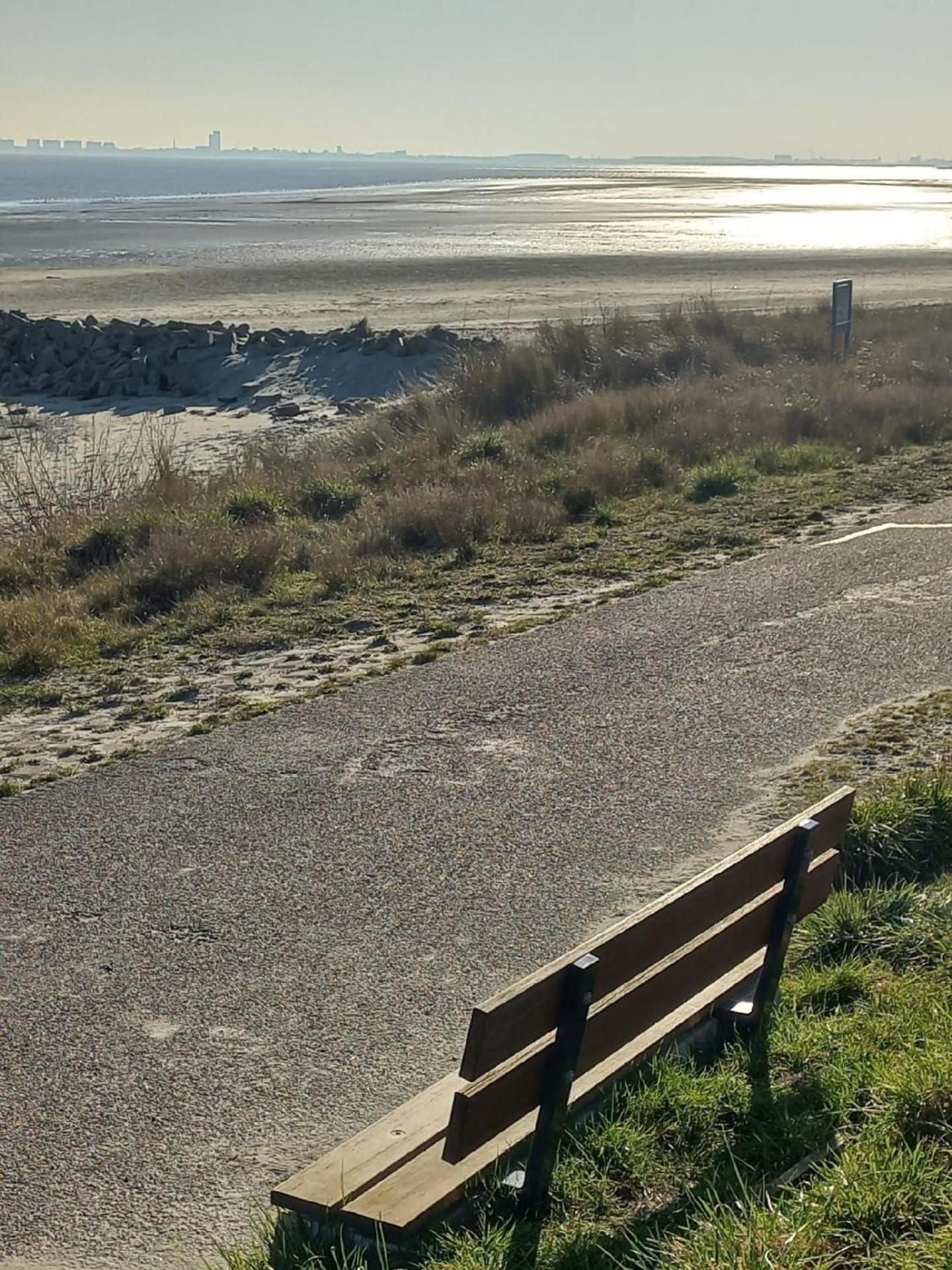 Gemuetliches Chalet Mit Terrasse Villa Baarland Eksteriør billede